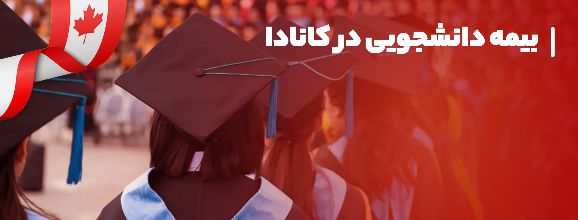 بیمه-دانشجویی-2